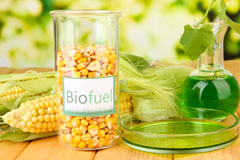 Furze Platt biofuel availability